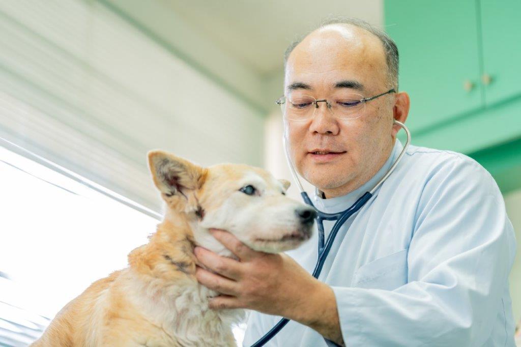 ちいさな命と向き合って三十年